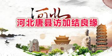 河北唐县县长冯韶华率团访加结良缘