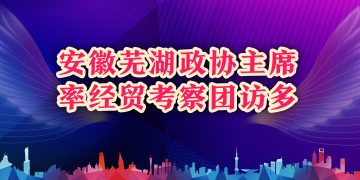 2006安徽芜湖政协主席率经贸考察团访多